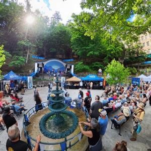 Eureka Springs Blues Party 2027- VIP Pass