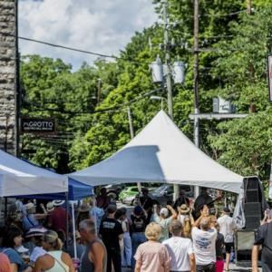 Eureka Springs Blues Party 2027- VIP Pass