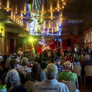 Eureka Springs Blues Party 2027- VIP Pass