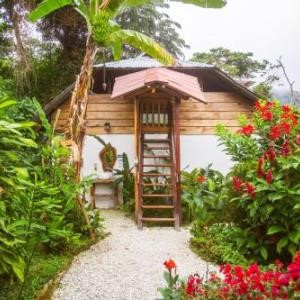 Colombia Retreat with Creative Yoga Retreats