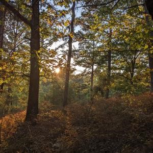 Hike House Eureka Springs - Trail to Sunken Stream